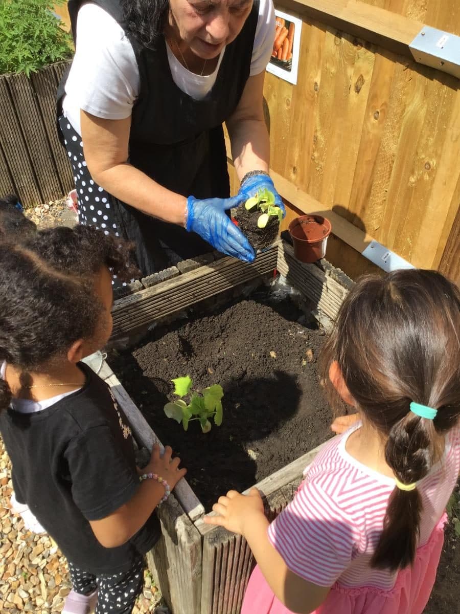 destiny haven nursery in noel park an adult wearing blue gloves plants